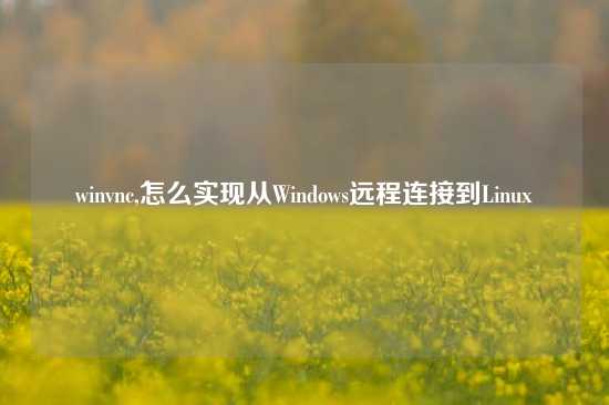 winvnc,怎么实现从Windows远程连接到Linux