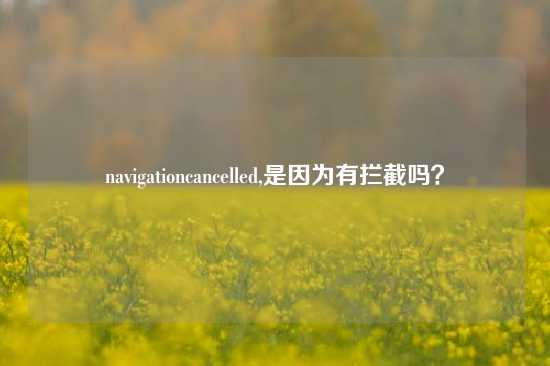 navigationcancelled,是因为有拦截吗？