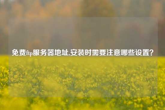 免费ftp服务器地址,安装时需要注意哪些设置？