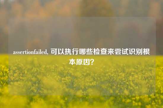 assertionfailed, 可以执行哪些检查来尝试识别根本原因？