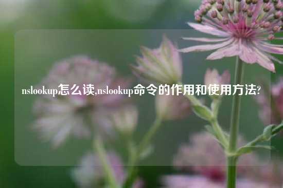 nslookup怎么读,nslookup命令的作用和使用方法?