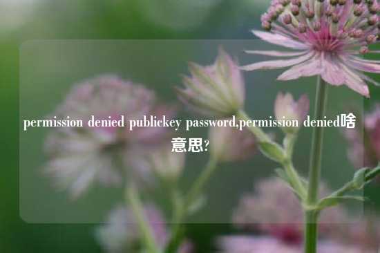permission denied publickey password,permission denied啥意思?