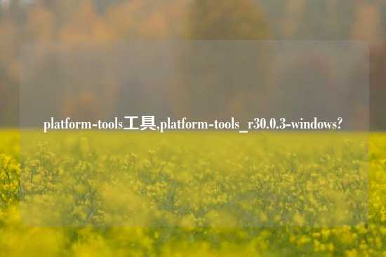 platform-tools工具,platform-tools_r30.0.3-windows?