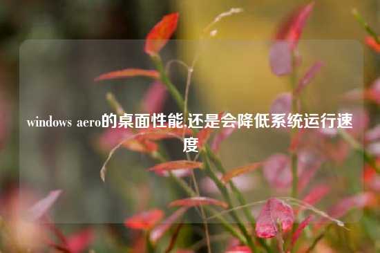 windows aero的桌面性能,还是会降低系统运行速度