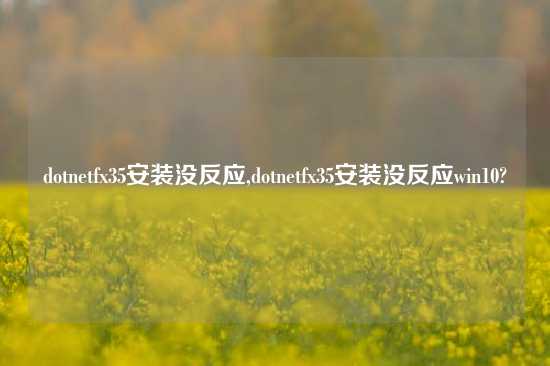 dotnetfx35安装没反应,dotnetfx35安装没反应win10?