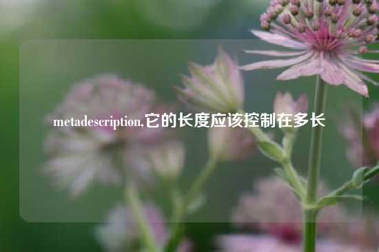 metadescription,它的长度应该控制在多长