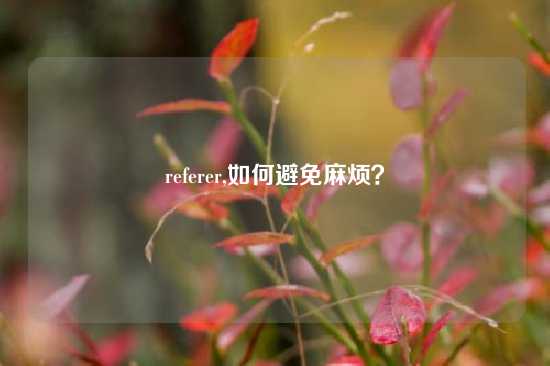 referer,如何避免麻烦？