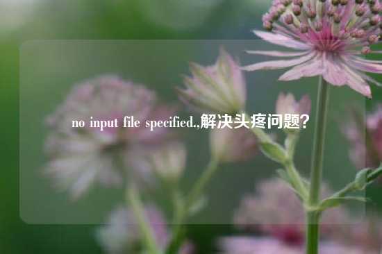 no input file specified.,解决头疼问题？