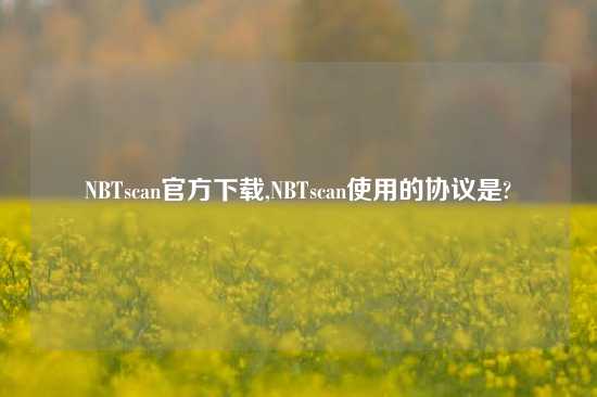 NBTscan官方下载,NBTscan使用的协议是?