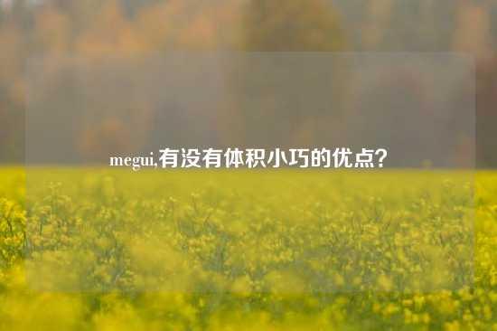 megui,有没有体积小巧的优点？