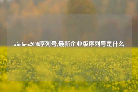 windows2008序列号,最新企业版序列号是什么