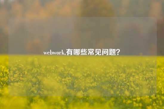 webwork,有哪些常见问题？
