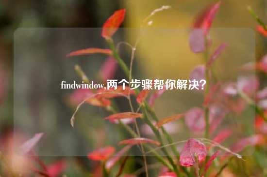 findwindow,两个步骤帮你解决？