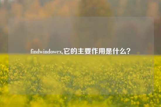 findwindowex,它的主要作用是什么？
