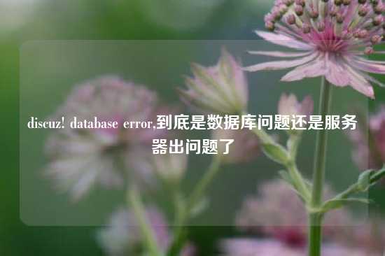 discuz! database error,到底是数据库问题还是服务器出问题了