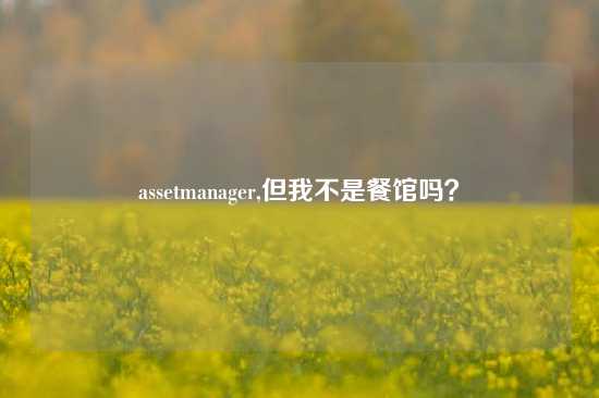 assetmanager,但我不是餐馆吗？