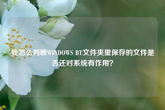 我怎么判断WINDOWS BT文件夹里保存的文件是否还对系统有作用？