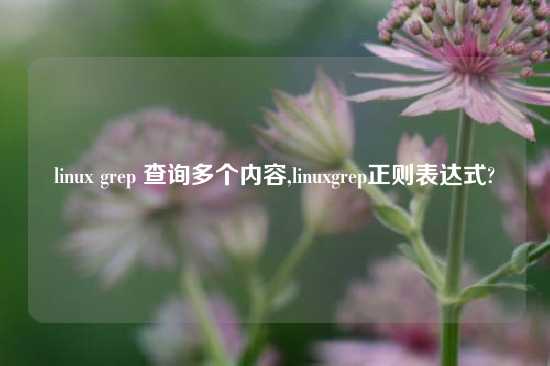 linux grep 查询多个内容,linuxgrep正则表达式?