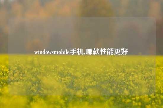 windowsmobile手机,哪款性能更好