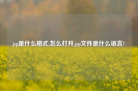 jsp是什么格式,怎么打开,jsp文件是什么语言?