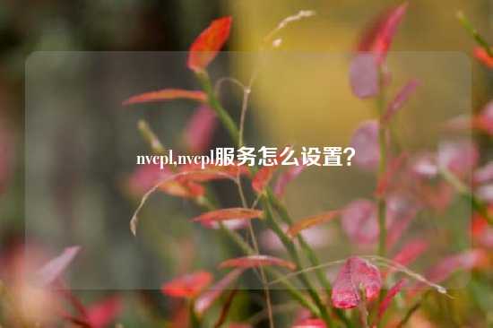 nvcpl,nvcpl服务怎么设置？