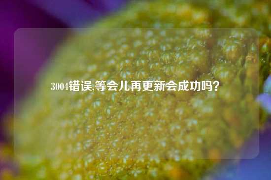 3004错误,等会儿再更新会成功吗？