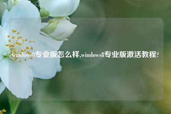 windows8专业版怎么样,windows8专业版激活教程?