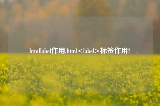 htmllabel作用,html<label>标签作用?