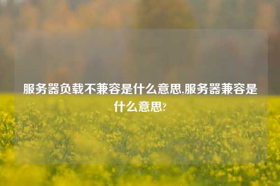 服务器负载不兼容是什么意思,服务器兼容是什么意思?