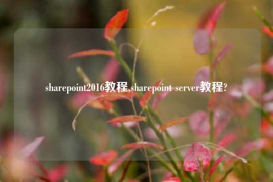 sharepoint2016教程,sharepoint server教程?