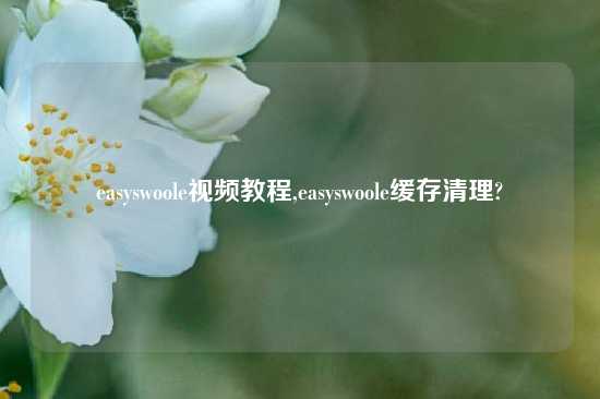 easyswoole视频教程,easyswoole缓存清理?