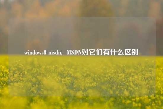 windows8 msdn, MSDN对它们有什么区别