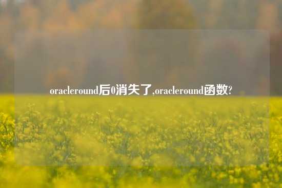 oracleround后0消失了,oracleround函数?