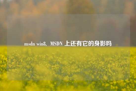 msdn win8, MSDN 上还有它的身影吗