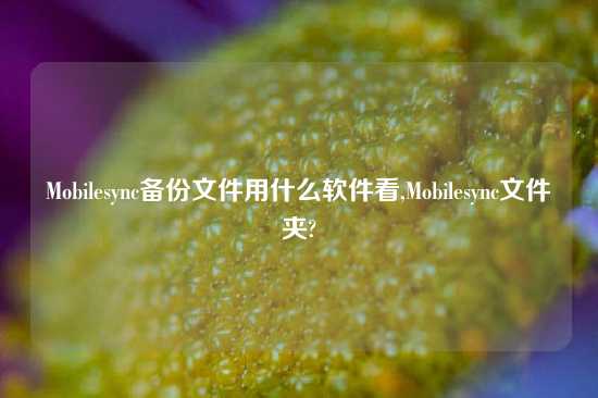 Mobilesync备份文件用什么软件看,Mobilesync文件夹?