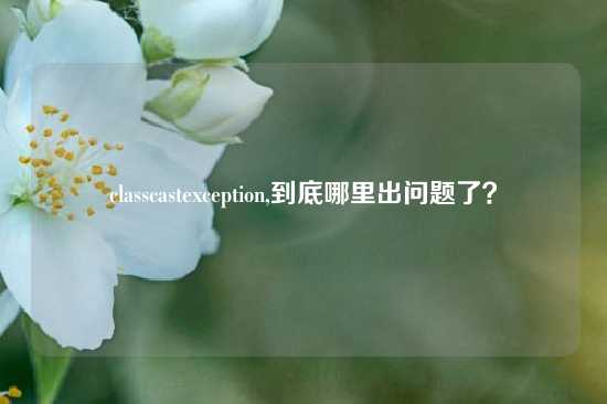 classcastexception,到底哪里出问题了？