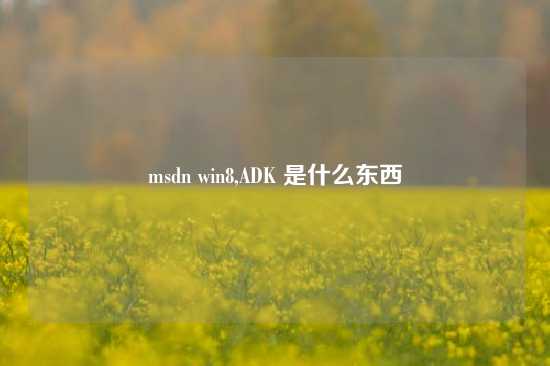 msdn win8,ADK 是什么东西