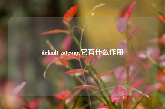 default gateway,它有什么作用