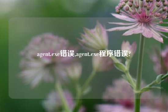 agent.exe错误,agent.exe程序错误?