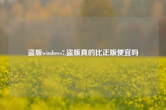 盗版windows7,盗版真的比正版便宜吗