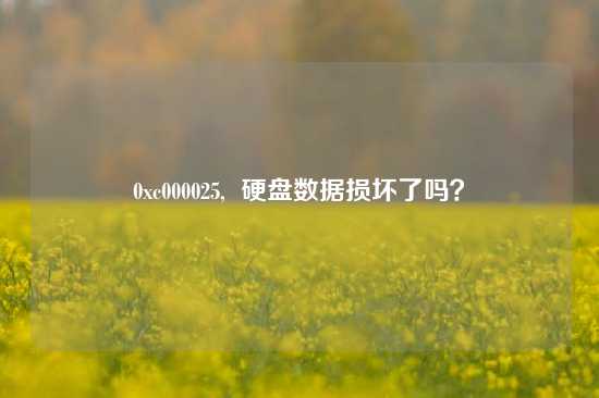0xc000025, 硬盘数据损坏了吗?