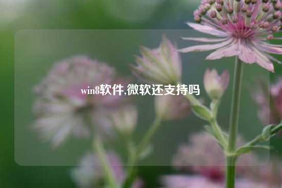 win8软件,微软还支持吗
