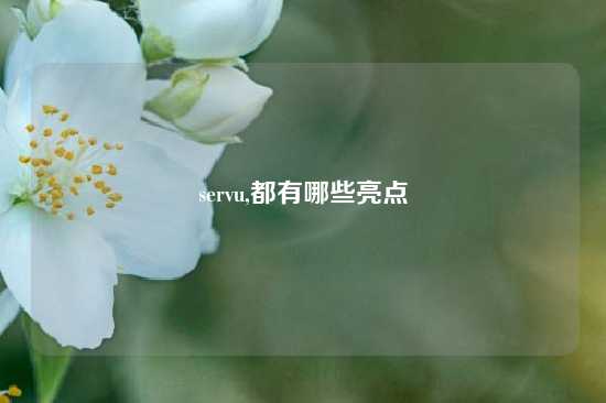 servu,都有哪些亮点