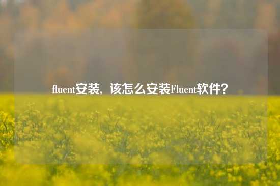 fluent安装, 该怎么安装Fluent软件?