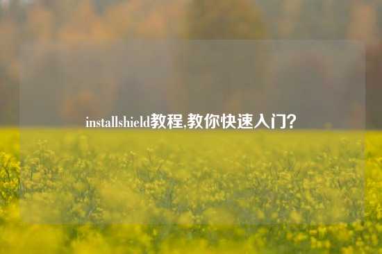 installshield教程,教你快速入门？