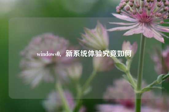 windows0, 新系统体验究竟如何