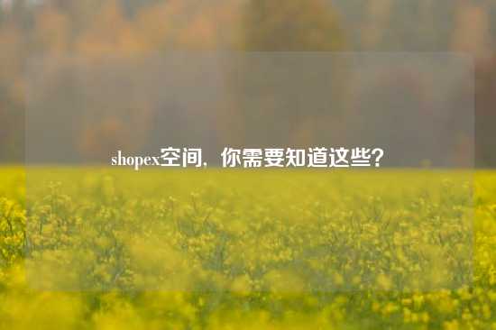shopex空间,  你需要知道这些？