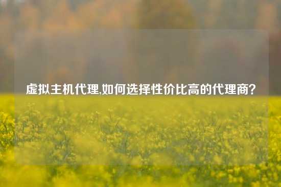 虚拟主机代理,如何选择性价比高的代理商？
