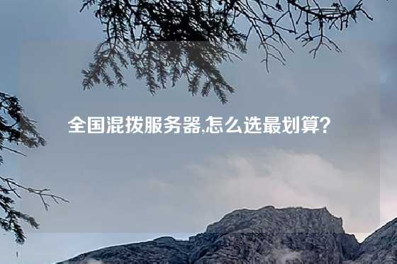 全国混拨服务器,怎么选最划算？