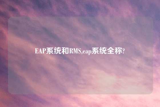 EAP系统和RMS,eap系统全称?